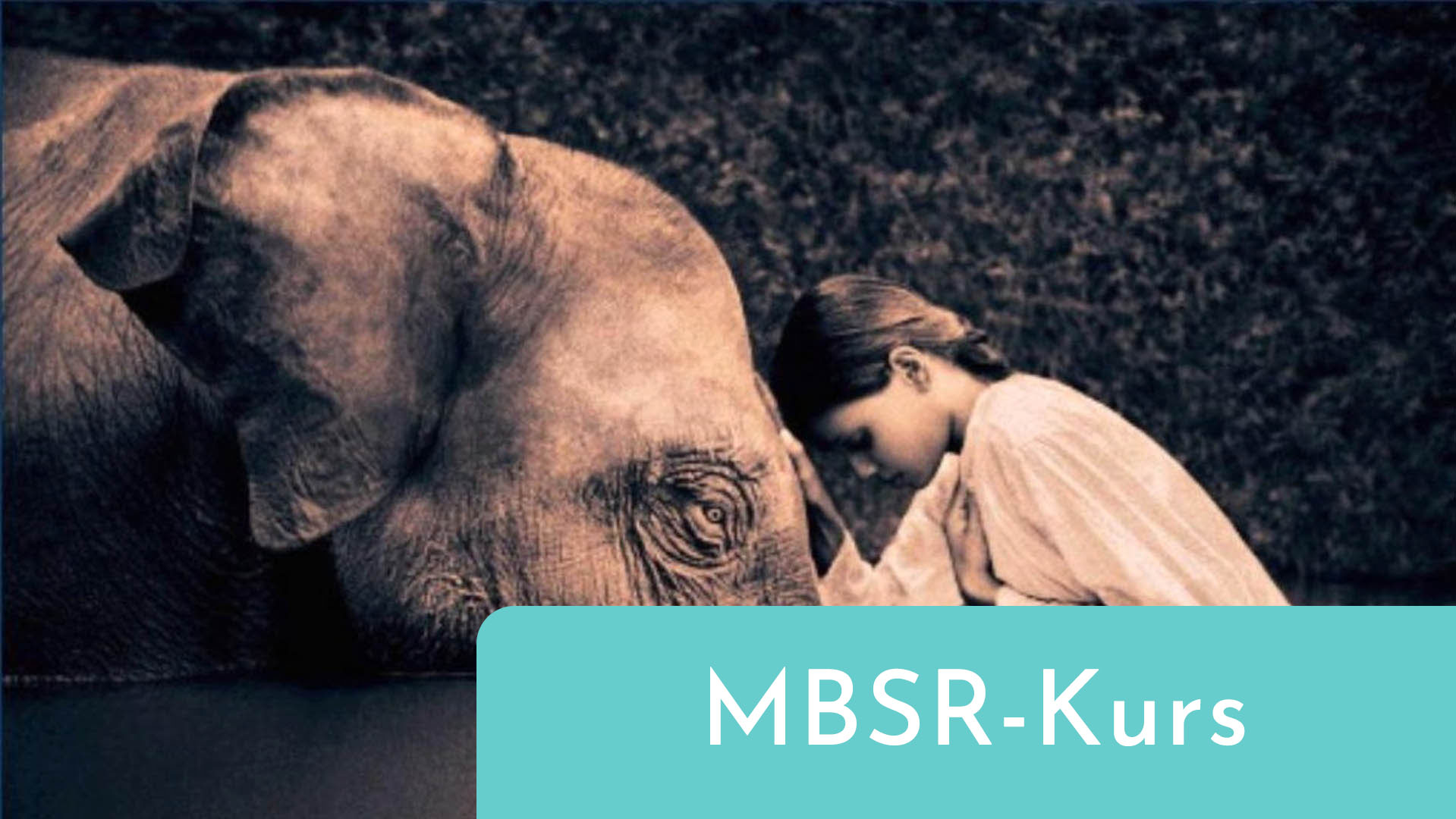 MBSR-Kurs